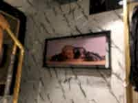 Görsel ve Çerçeve