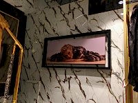 Görsel ve Çerçeve