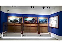 Dual Otomotiv - İnşaat Dekorasyon - Reklam Ürünleri