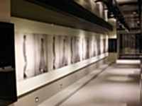 Emelda VIP Katı Duvar Çalışması