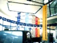 Ford Connect Lansman